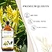 EUQEE Honeysuckle Essential Oil 118ml Pure Honeysuckle Oil Premium Essential Oil - with Glass Dropper Great for Diffuser, DIY Soap, Candle Making - 4Fl. OZ