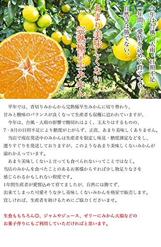 Smile Orange みかん L 2L 3Lサイズ の商品画像 1