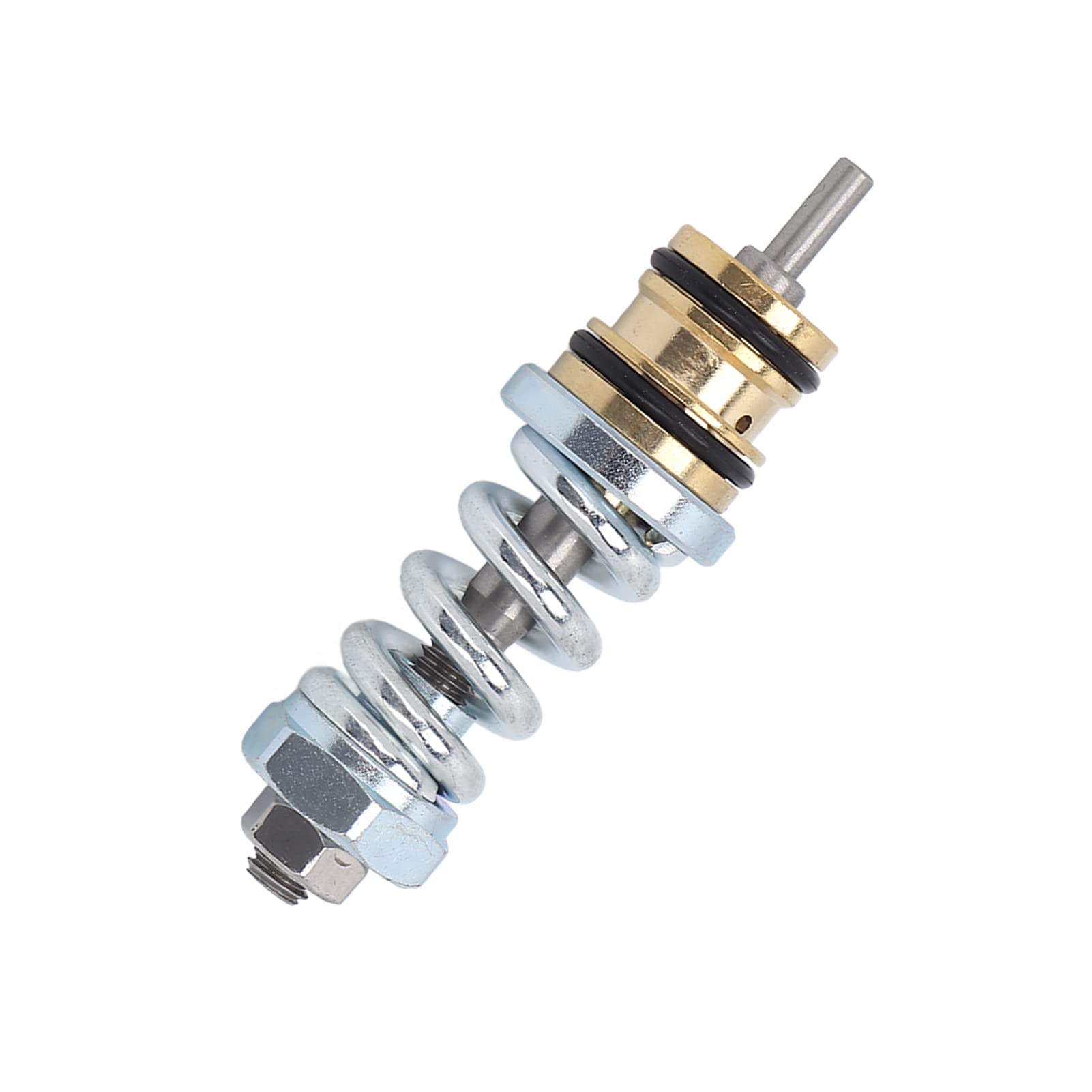 Válvula de Descarga de Lavadora a Presión, Conjunto de Válvula de Descarga 309515003 Reemplazo de Alta Resistencia para Bomba de Lavadora a Presión Troy Bilt