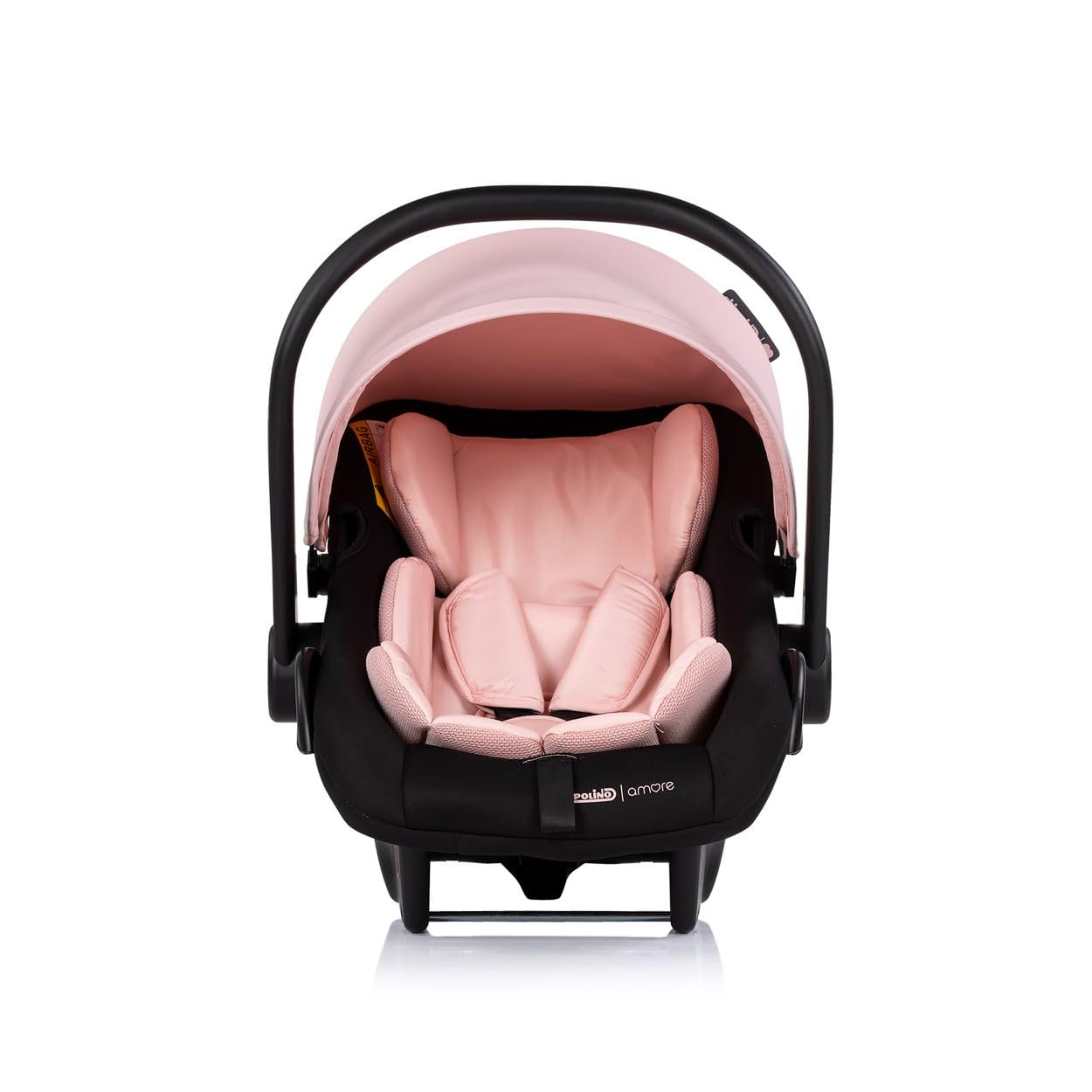 Chipolino Set Babyschale Isofix-Basisstation Amore i-Size Gruppe 0+ (0-13 kg) rosa pink