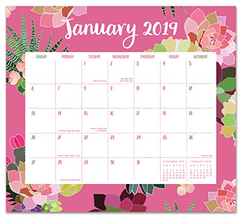 Orange Circle Studio 2019 Magnetic Monthly Calendar Pad, August 2018 - December 2019, Succulent Paradise