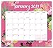 Orange Circle Studio 2019 Magnetic Monthly Calendar Pad, August 2018 - December 2019, Succulent Paradise