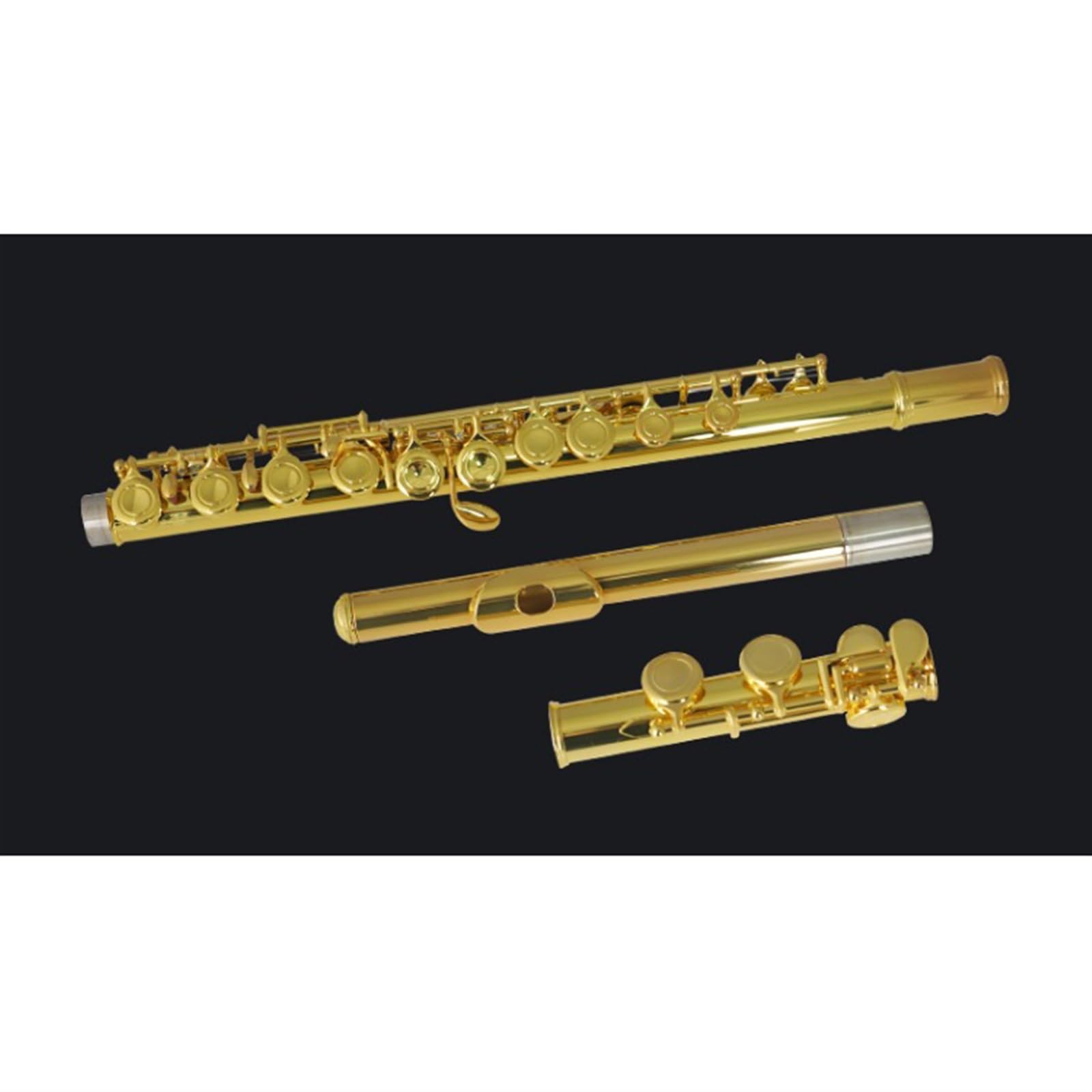 Flauto Dorato 16 Fori Chiusi 17 Fori Aperti Chiavi Curve + Chiave E Flauto Diviso Chiave C Principiante Livello Professionale Test Prestazioni(16 Hole)