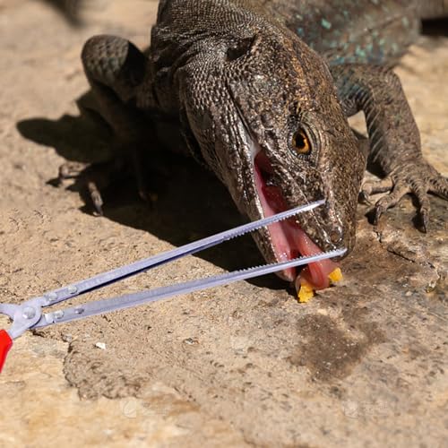 Image of Reptile Feeding Tongs, 15 Inch Stainless Steel Reptile Feeding Tongs Long Handled Tweezers Tipped Feeding Tool for Fish Aquariums Reptiles Snakes Lizard Gecko Spider and Bird