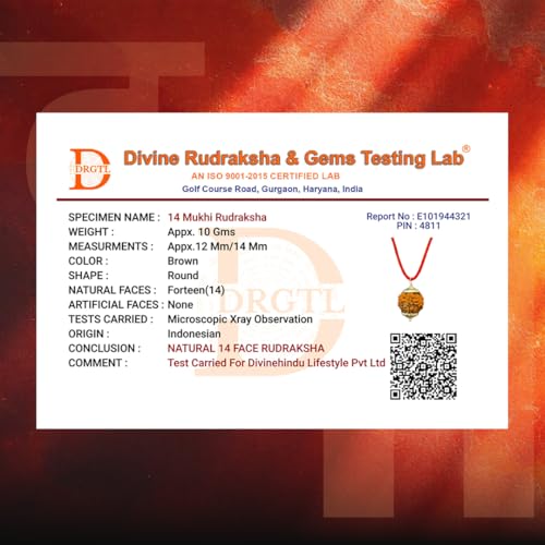 Image of Divine Hindu Original 14 Mukhi (Fourteen Face) Indonesia Rudraksha | Chaturdash Mukhi Rudraksh Bead for Meditation & Spiritual Growth | Natural Rudraksha for Men & Women | Prayer Bead for Success