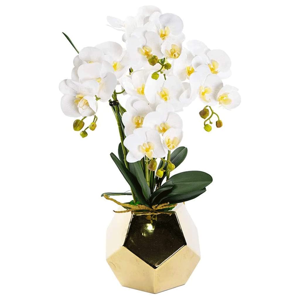 Orchidee Artificiali Fiori Finti Orchidee finte Tocco Realistico Orchidea Artificiale Pianta Finta Fiori Artificiali Fiori di Phalaenopsis Artificiali Classici Vaso
