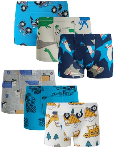 Boboking Toddler Boys Trainer Underwear Little Kids Boy Boxer Briefs 5T