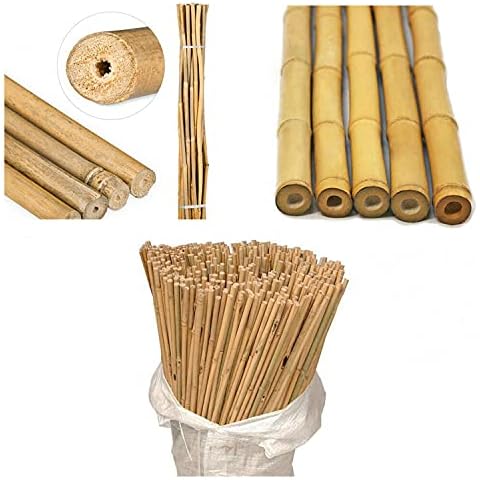 SAVING HUB Bamboo Canes Garden Sticks Plants Stakes Plant Support Screening Trellis Large Pole Fence Screen Gardening Strong Thick Professional Bamboo Cane Indoor Outdoor Trellises (10, 5Ft, 18-20mm) Cover