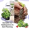 Salad Seed Pods, Grow Anything Kit for All Hydroponics Growing Systems, 8 Pods with 600+ Seeds of Red Cherry Tomato, Butter Head, Romaine, Spinach, Mini Cucumber and Radish #4