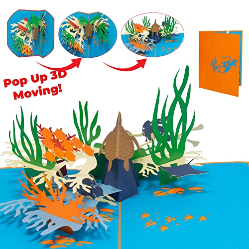 LINPOPUP, Tarjeta emergente buceador, biología marina, cupón, equipo de buceo, curso de buceo, tarjeta de cumpleaños, cupón de viaje, mar, buzo, tortuga, pez, coral, mundo submarino, N82