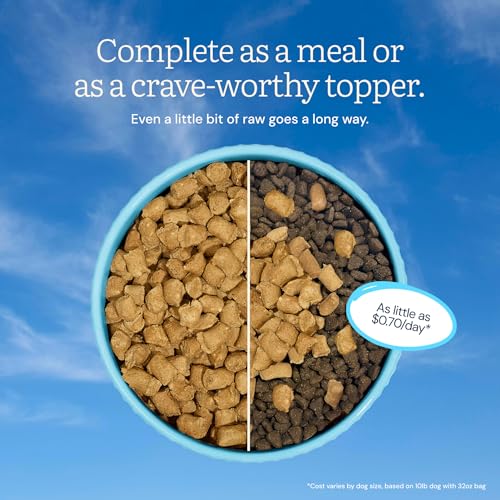 Get Joy Freeze Dried Dog Food | Beef Recipe with Superfoods for Gut Health & Digestion | Vet Formulated Meal or Topper for Puppy, Senior & Adult Dogs, 100% USDA Sourced, Seed Oil Free | 4oz Bag - Image 5