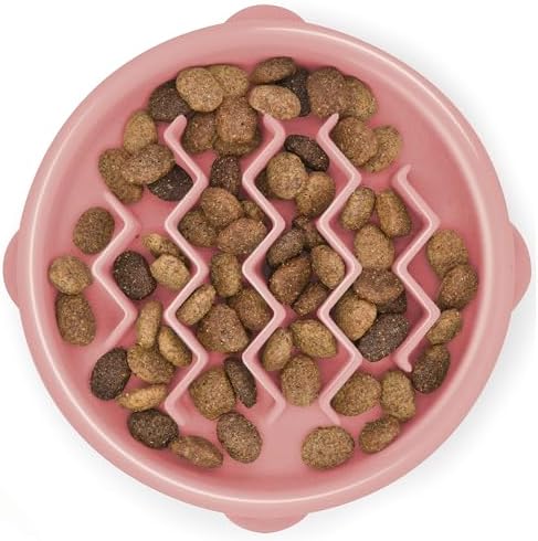 Outward Hound Fun Feeder Slo Bowl – Small 3/4-Cup Capacity, Slow ...