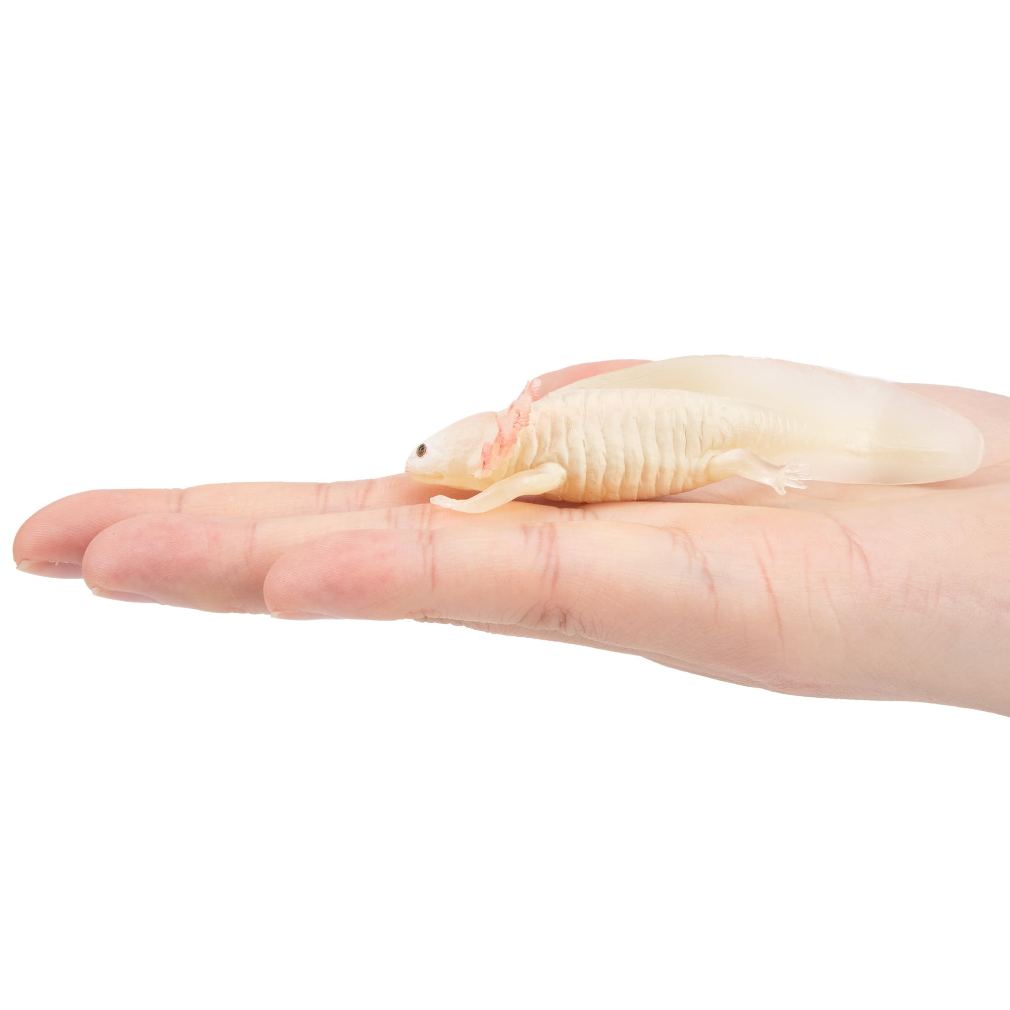 TOYMANY Salamandra figurki zwierząt, las, figurki zwierząt, 9,3 x 4,1 x 2,2