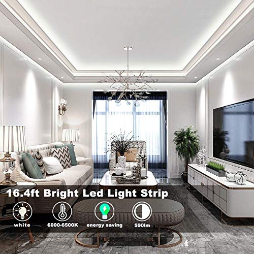 Tira Led Blanca Regulable con Control Remoto RF miniatura 6