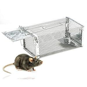 1x mouse trap alive – 29 cm cage trap reusable & alive – trap for mouse & rat