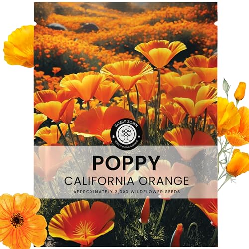California Poppy Orange - Large 5g Envelope - 2,000 Flower Seeds for Planting - Eschscholzia californica