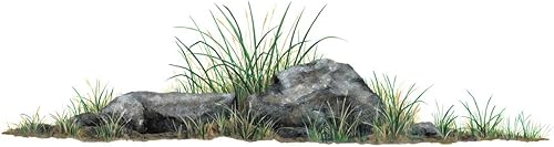 Walls of the Wild Calcomanías de pared de rocas y hierba (42 pulgadas x 12 pulgadas)