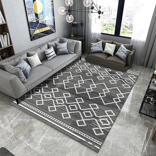 SBJKLYRN Carpeting Living Room Ultra Soft Floor Carpet,Room Decorative Light Luxury Minimalist Style With Durable Anti-slip Backing For Living Room Home Decor(P 02,60 * 90)