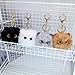 Spenlly 2Pcs Cute Cat Plush Keychain for Backpack, Kawaii Cat Pom Pom Car Keyring Purse Charms Decoration for Women Girls (Black White)