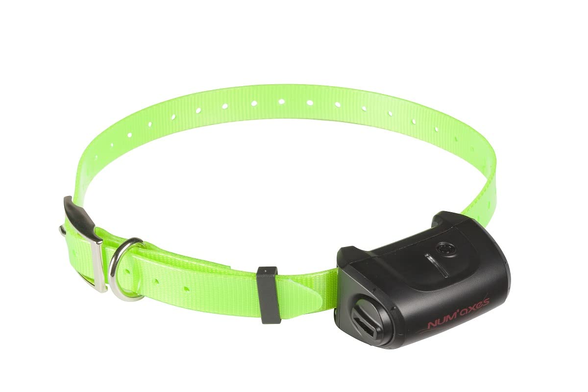 NUM'AXES Ensemble D’ÉDUCATION Pack CANICOM 5.1500 pour 2 Chiens