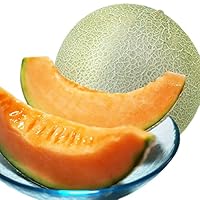 アンデスメロン ‼️プロフ必読‼️  71JH0AZh1bS._UF350,350_QL50_.jpg