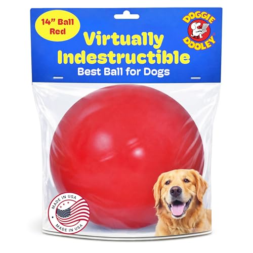 Doggie Dooley Virtually Indestructible Dog Ball - 14 Inch Hard Plastic Interactive Dog Toy for Large...
