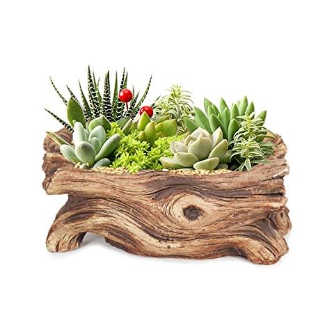 Dahlia Driftwood Stump Log Concrete Planter/Succulent Pot/Plant Pot, 7.4L x 3.9W Cover