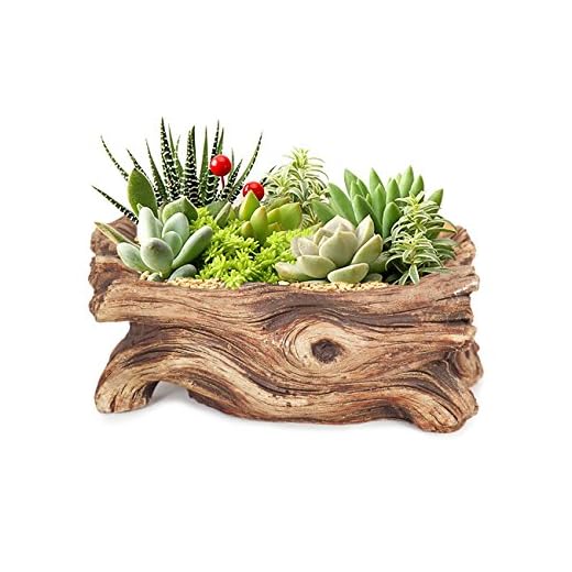 Dahlia Driftwood Stump Log Concrete Planter/Succulent Pot/Plant Pot, 7.4L x 3.9W