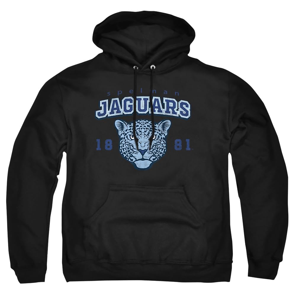 LOGOVISION Official Collegiate Distressed Primary Logo Adult Pullover Hoodie Collection — view 23