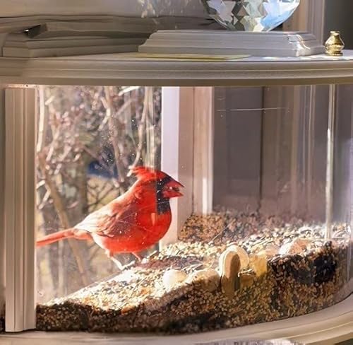 Window Bird Feeder - Us Handmade White In-House 180° Clear View Window Feeder - Watch Wild Birds From The Comfort Of Your Home - Easy-Fill #TOP3