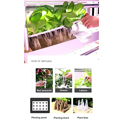 Kit de culture hydroponique à 3 niveaux avec 90 espaces de plantation pour la maison et le bureau, idéal pour la culture des légumes