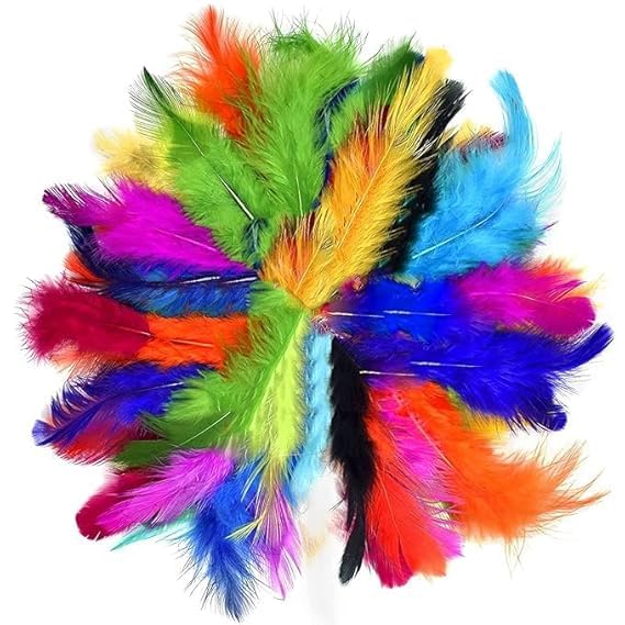 GIRLYZ Attire Crafts Natural Dyed Feathers for Craft Project, Hobby Creation and Dream Catcher Making,Bright and Premium Feathers for Decorations and Art Projects (Pack of 50)