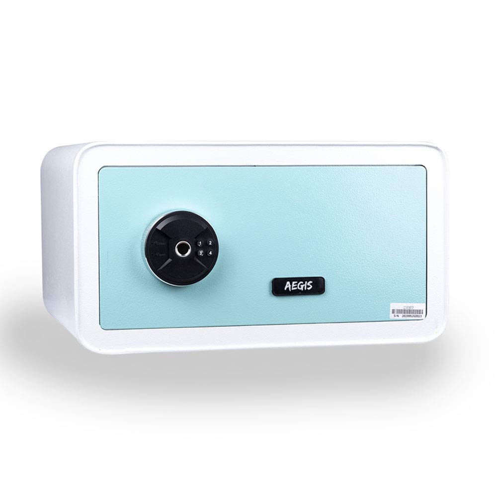 Buy Electronic Biometric Safe Box with Fingerprint Lock, Home Safe