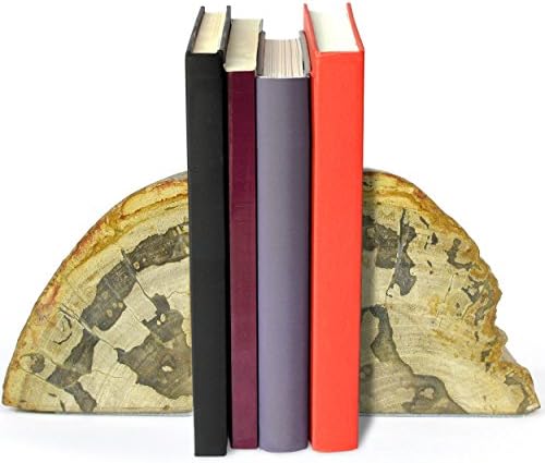 Petrified Wood Bookends 5-6in (Gray/Tan)