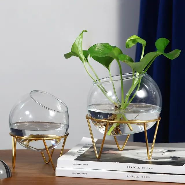 Next In Crafts Modern Glass Plant Holder for Home Decoration Metal Gold