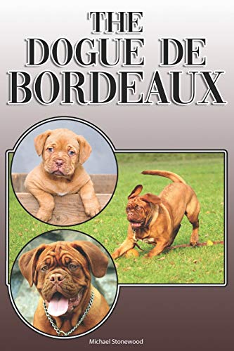  The Dogue de Bordeaux: A Complete and Comprehensive Owners Guide to: Buying, Owning, Health, Grooming, Training, Obedience, Understanding and Caring for Your Dogue de Bordeaux