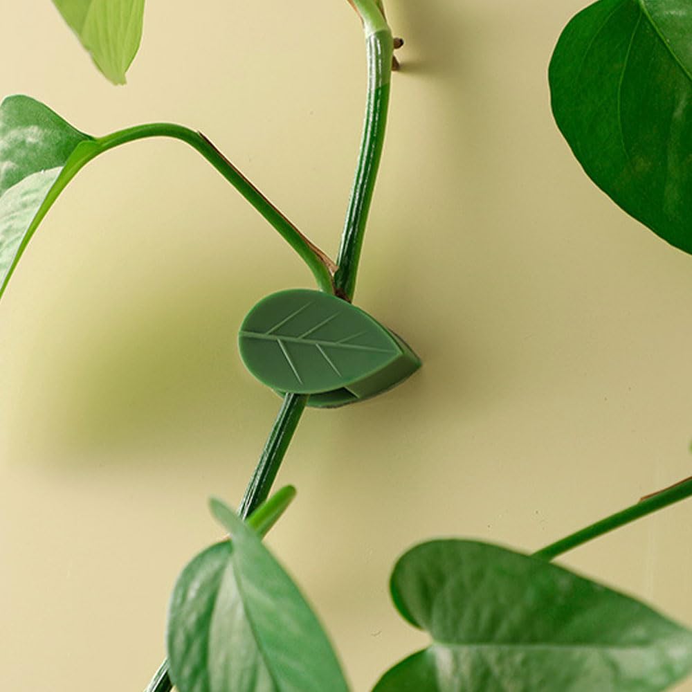 100/150/300 Stück Kletterwandbefestigungs-Clips, Pflanzenstütz-Clips, gesicherte Kunststoff-Pflanzenclips, wiederverwendbare Gartenreben-Befestigungsclips für Kletterpflanzen, Innen- und Außenbereich,