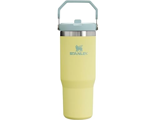 Best Kids' Water Bottles: Stanley | Ultimate Buying Guide [2024 Update]