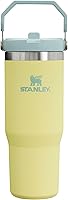 Vista 130 de Stanley - Vaso con popote plegable IceFlow con asa de 30 onzas Tapa de giro y popote abatible Botella de agua resistente a fugas Acero