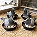 DQITJ 4 Pack Bird Nest Bowl Plastic Racing Pigeon Breeding Hatching Nest Box Birdcage Egg Basin for Pigeon Chicken Doves Quail Bird (Dia: 8.6 Inches, Black)