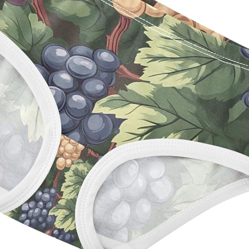 Vintage Grape Pattern Toddler Girls's Underwear 2T 202c11324