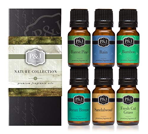 P&J Trading Nature Set of 6 Premium Grade Fragrance Oils - Forest Pine
