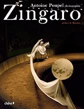 Download Zingaro PDF