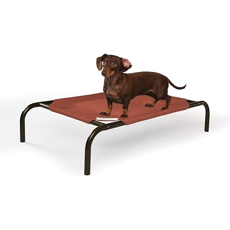 coolaroo elevated dog bed