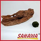 1x Mangrovenwurzel + 1x Mooskugel gratis