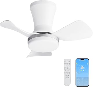 LANMEL Metal Ceiling Fan with Lights and Remote, 22 Inch, Silver & White