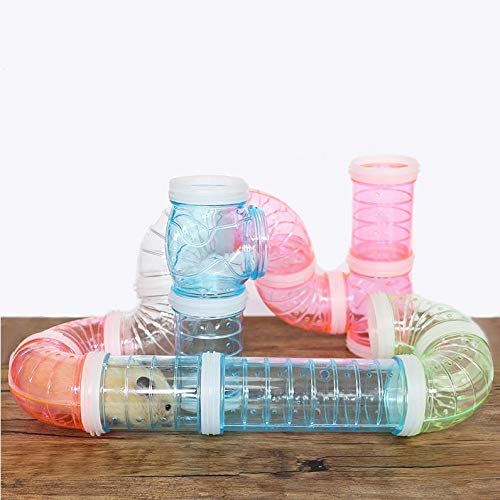 Toruiwa. Tunnel per criceto trasparente, tunnel