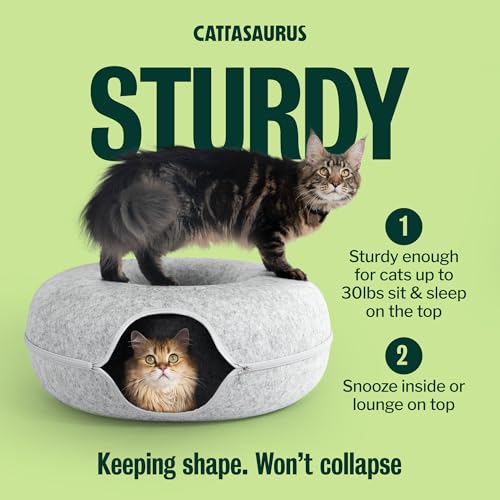 Image of Cattasaurus Peekaboo Cat Cave Donut for Multiple & Large Cats up to 30-45 lbs, 3-in-1 Self Warming Cat Bed, Tunnel & Scratcher for Indoor Cats, Washable & Detachable Small Dog Bed (Light Gray, Jumbo)