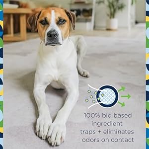 Carpet Refresher Powder Carpet Deodorizer Powder Pet Safe  Carpet Powder Pet Odor Eliminator for Carpet with Plantbased Juniper Leaf Scent  Made in the Usa  16oz pack of 3  Cucciolini Doodles Carpet refresher powder carpet deodorizer powder pet safe  carpet powder pet odor eliminator for carpet with plant based juniper leaf scent  made in the usa  16oz pack of 3   cucciolini doodles