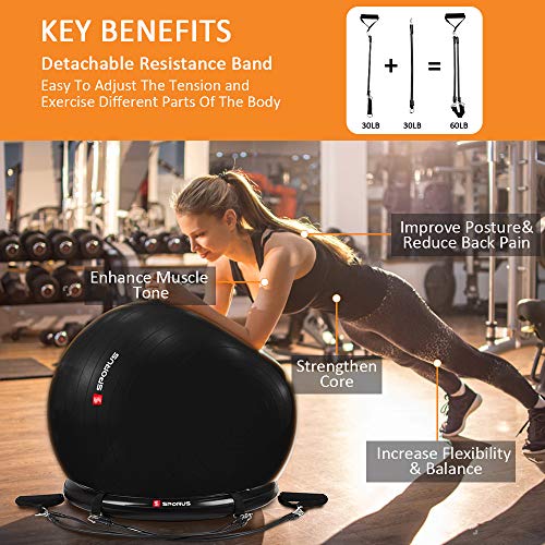 image for Sporus Exercise Ball Chair (65cm), Yoga Ball for Office and Fitness wi